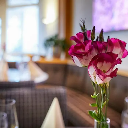 מלון Pergola Im Goebels Rodenberg